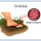 tetanus
